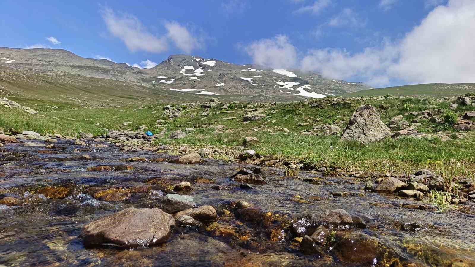 Ordu&rsquo;nun yaylalarında yaz g&uuml;zelliği