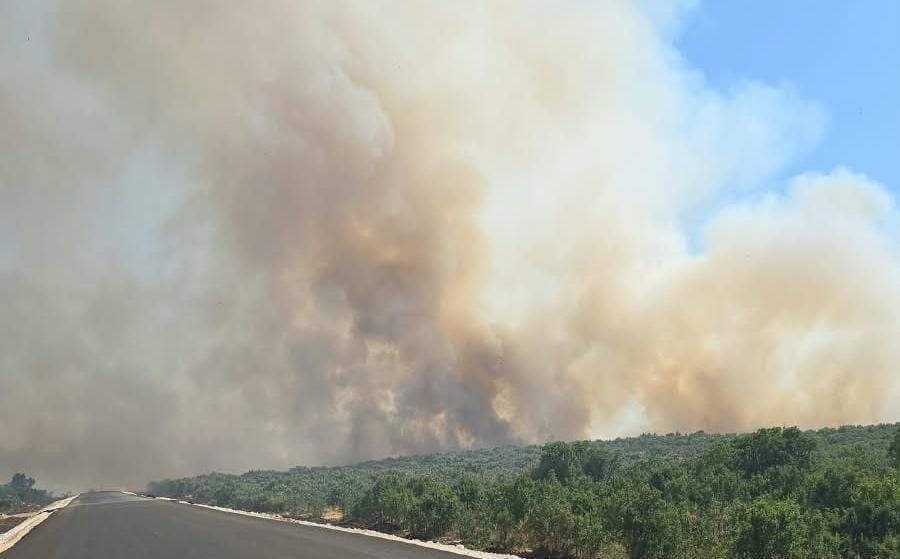 Diyarbakır’da ormanlık alanda yangın