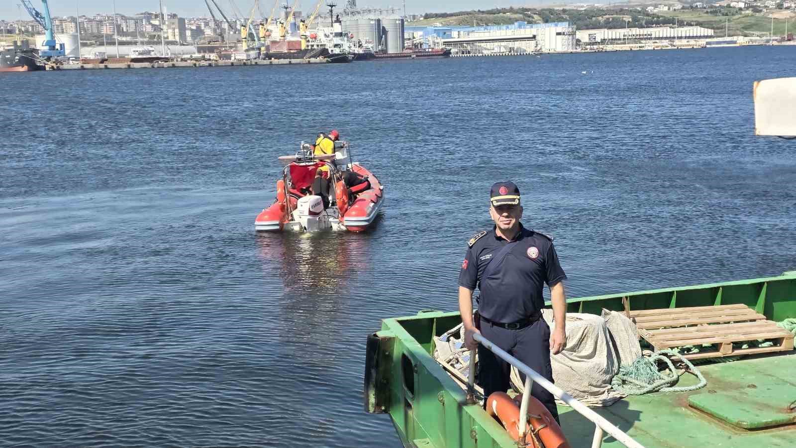 Marmara Denizi Günü’nde denizden maket dinozor çıktı