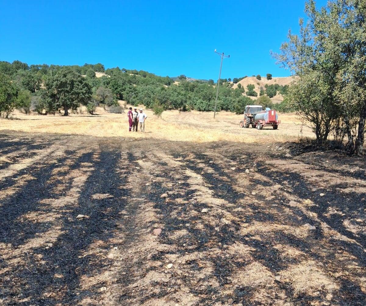 Hisarcık’ta anız yangını 5 dekarlık alana zarar verdi