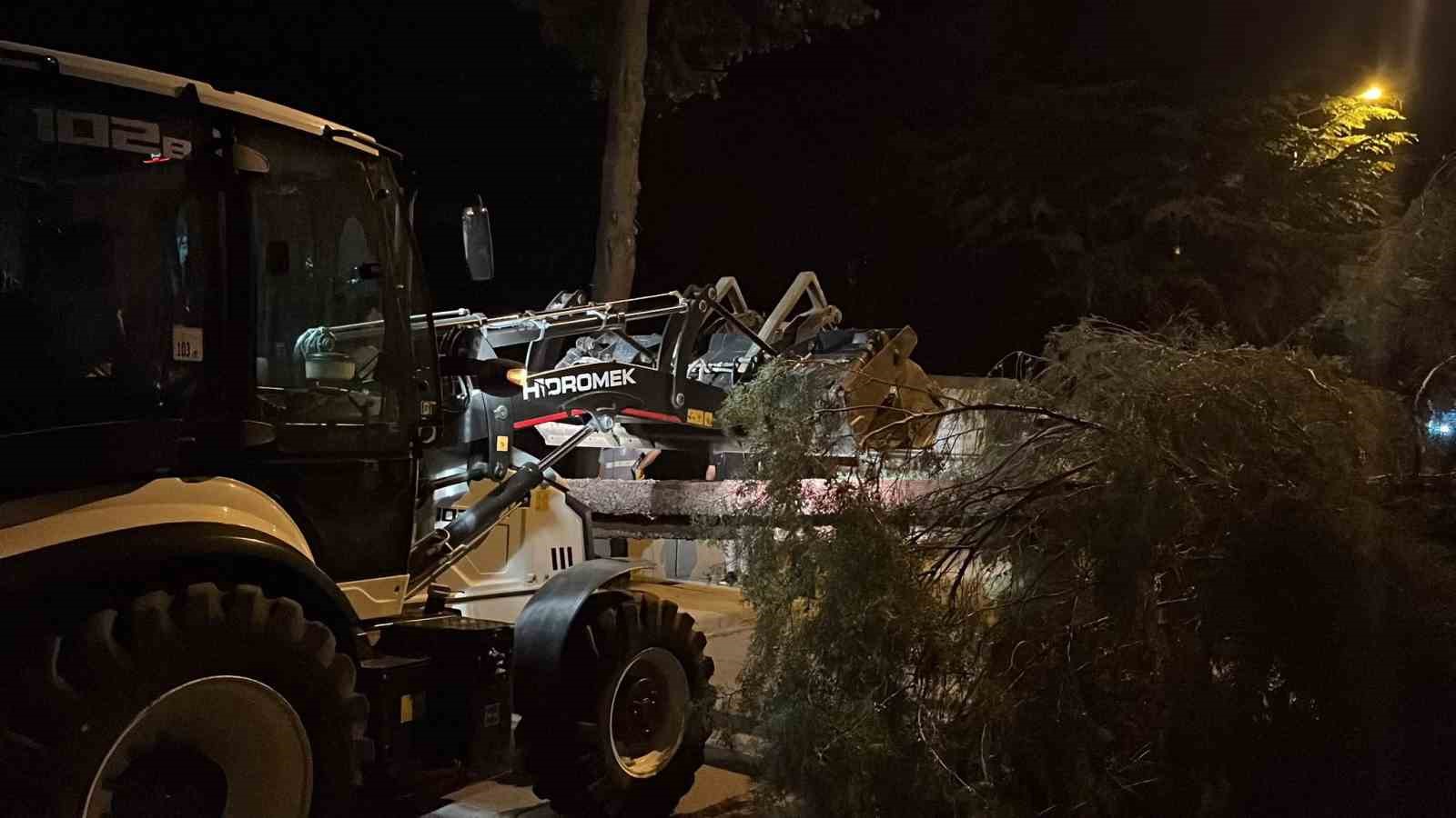 Çorum’da rüzgarın şiddetine dayanamayan ağaç yola devrildi