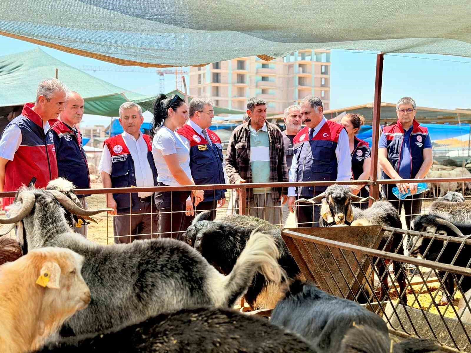 Mersin&rsquo;de Kurban Bayramı &ouml;ncesi satış noktalarında sıkı denetim