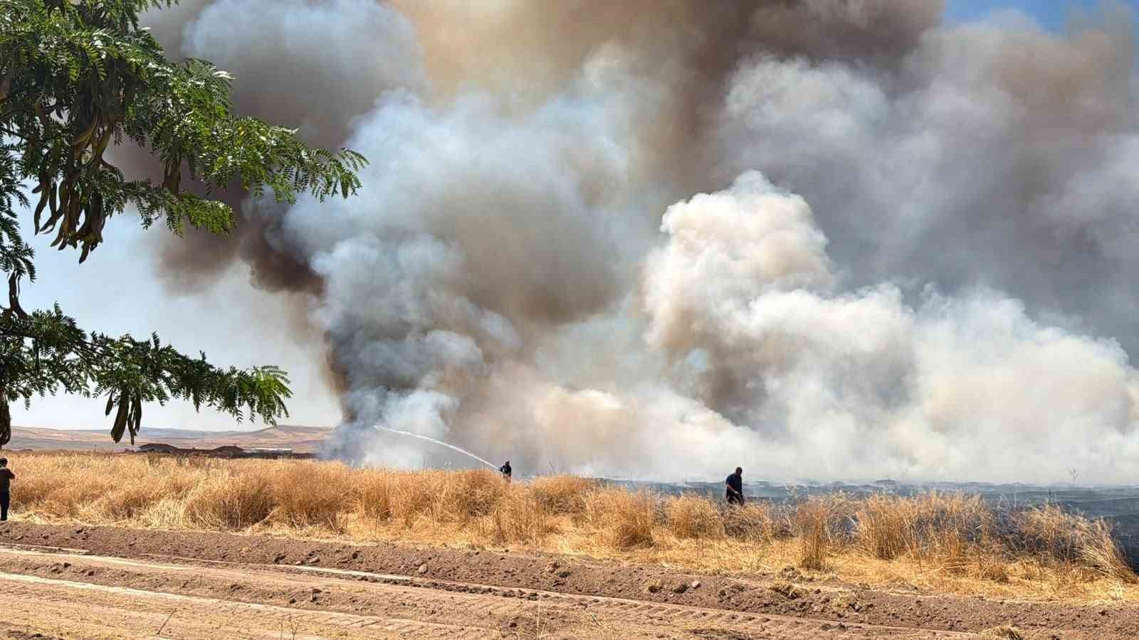 Yerköy’de yaklaşık 100 dekar alan kontrollü olarak yakıldı