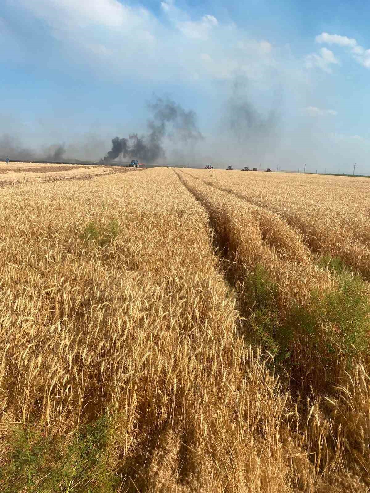 Konya’da tarla yangını: 500 dekar ekili alan kül oldu