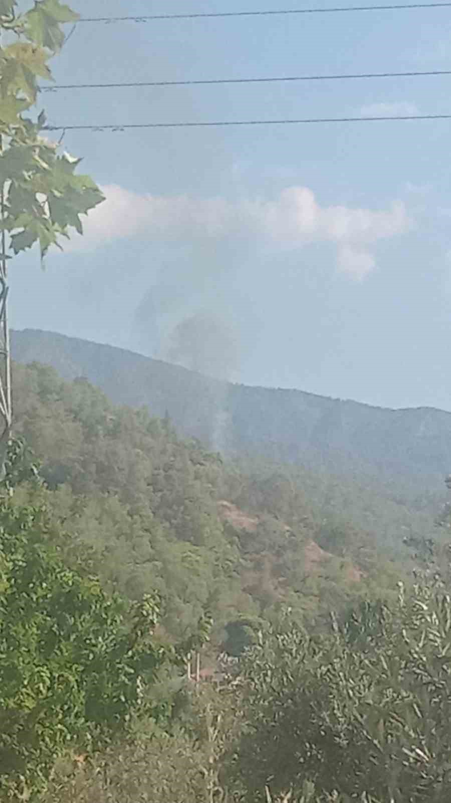Fethiye’de korkutan yangın: Jeneratörden çıkan alevler ormana sıçradı