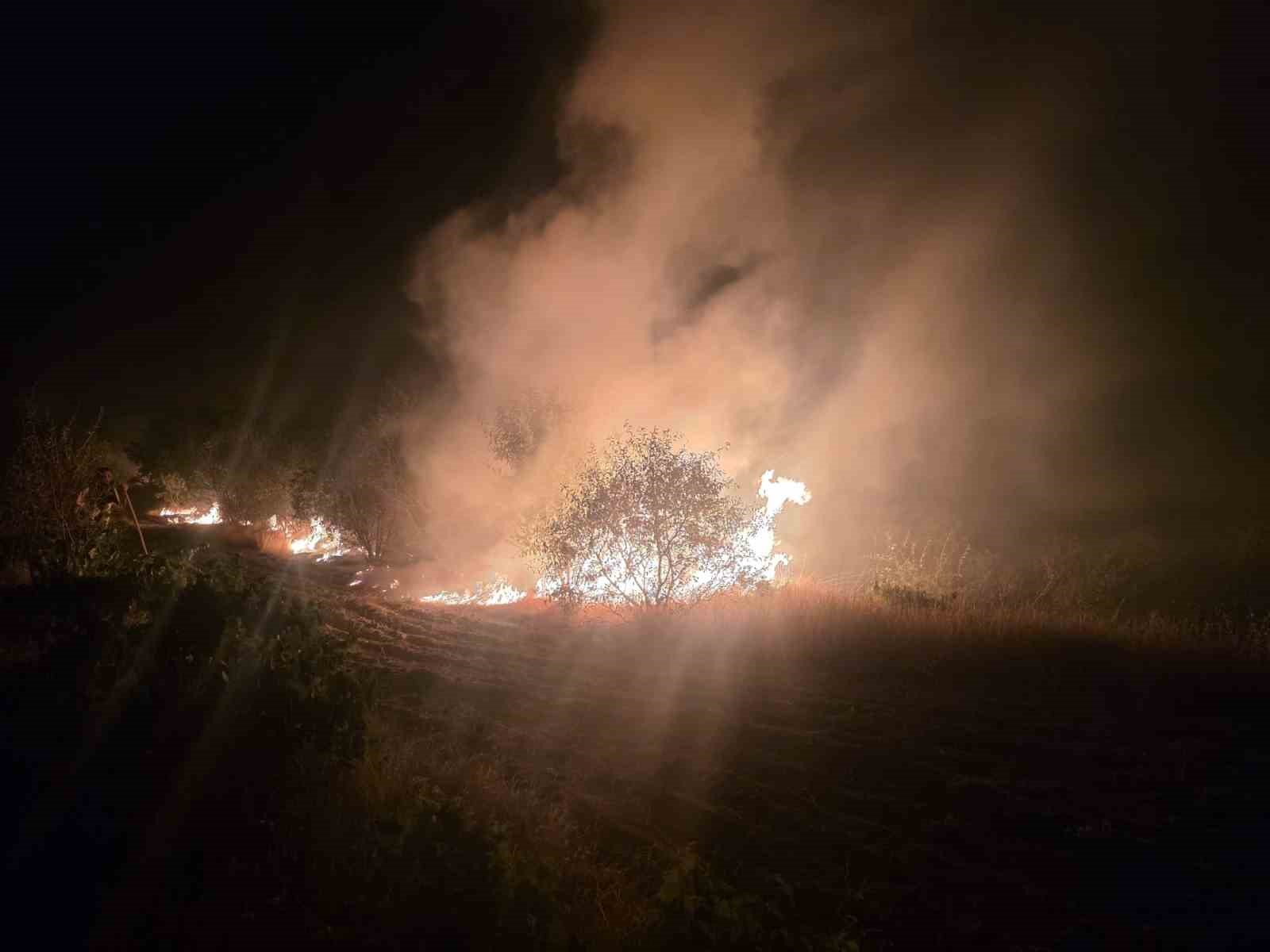 Elazığ&rsquo;da odunlukta &ccedil;ıkan yangın otluk alanda sı&ccedil;radı, ekipler s&ouml;nd&uuml;rd&uuml;
