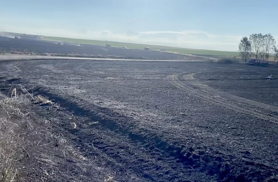 Tekirdağ&rsquo;da 400 d&ouml;n&uuml;m buğday ekili alan yandı