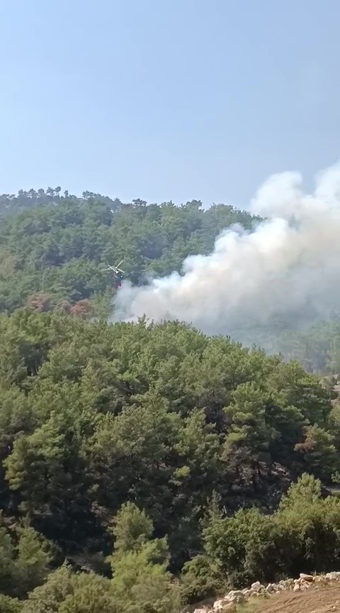 Soğutma &ccedil;alışmalarının s&uuml;rd&uuml;ğ&uuml; ormanlık alanda yeniden yangın &ccedil;ıktı