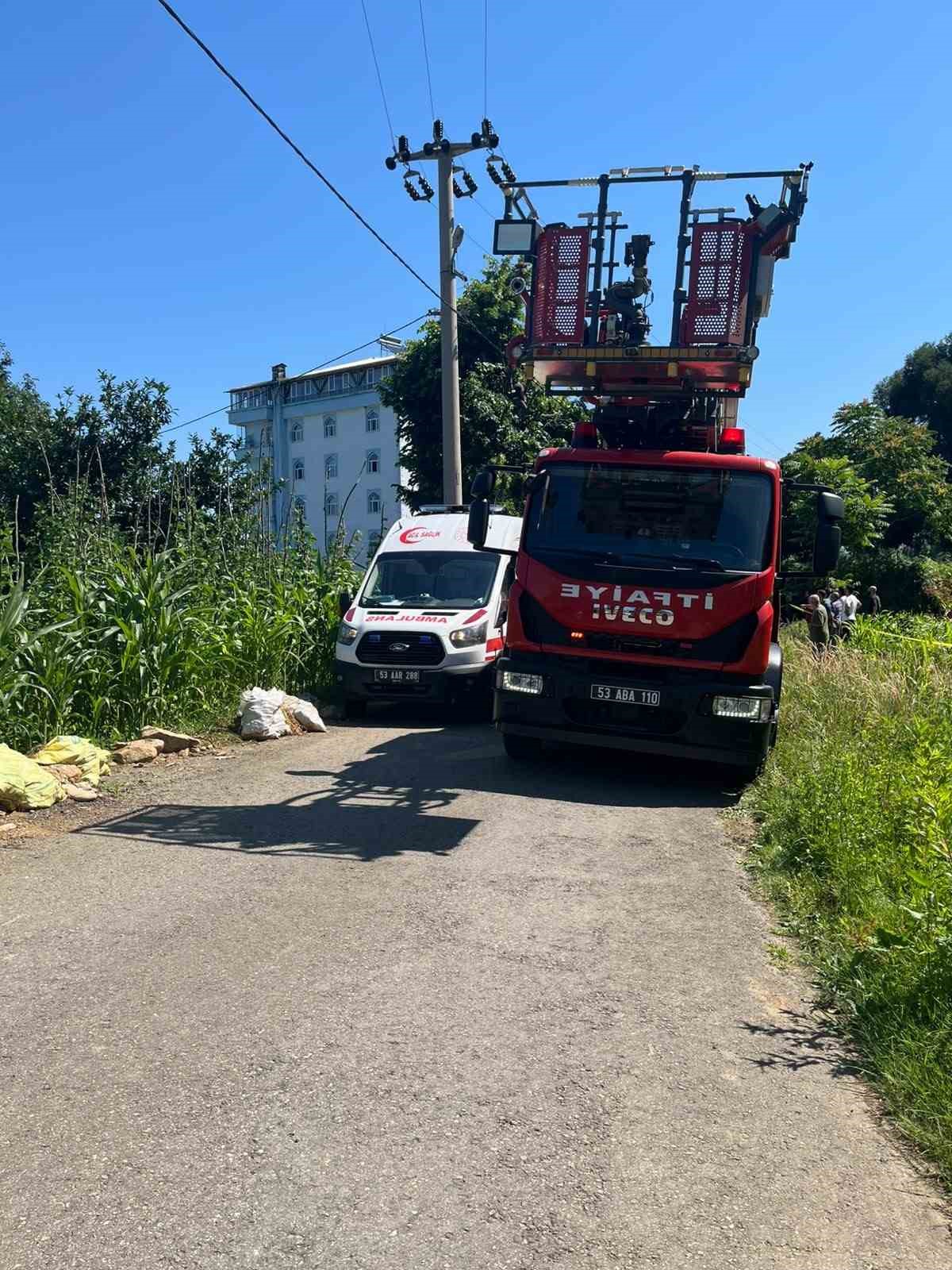 Rize&rsquo;de ıhlamur toplarken elektrik akımına kapılan vatandaş hayatını kaybetti