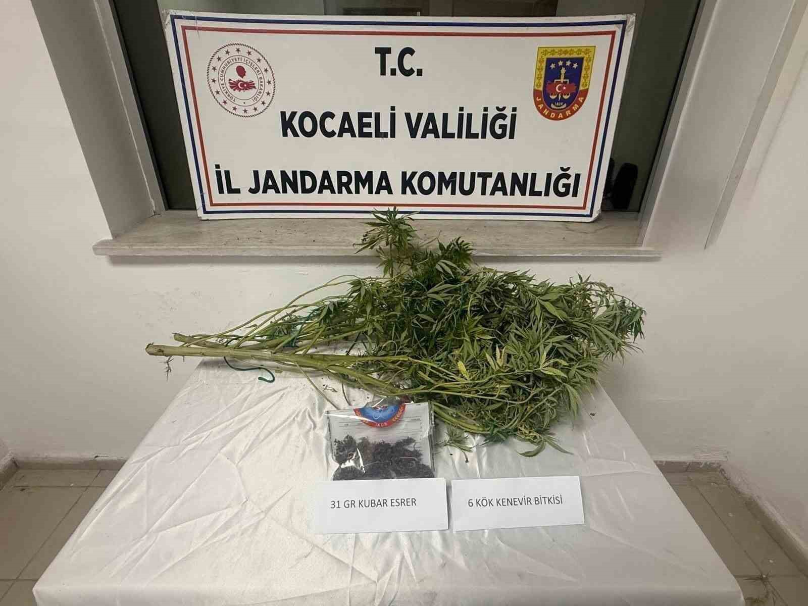 Kocaeli&rsquo;de 1 kilo esrar ele ge&ccedil;irildi