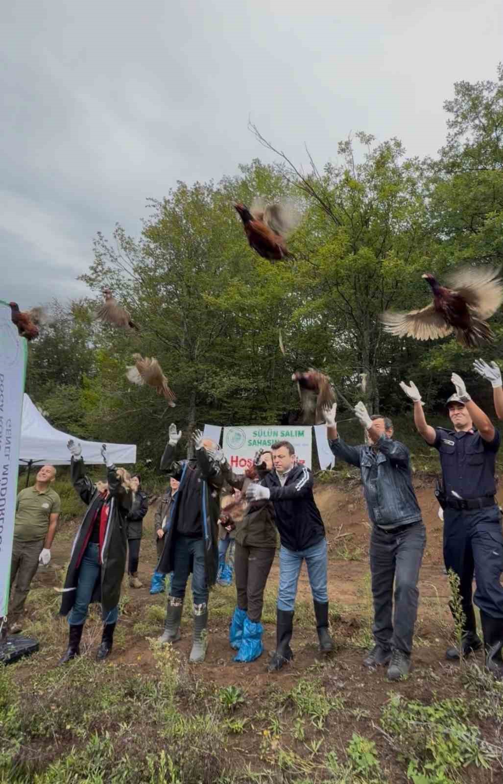 Bartın&rsquo;da 300 s&uuml;l&uuml;n doğaya salındı
