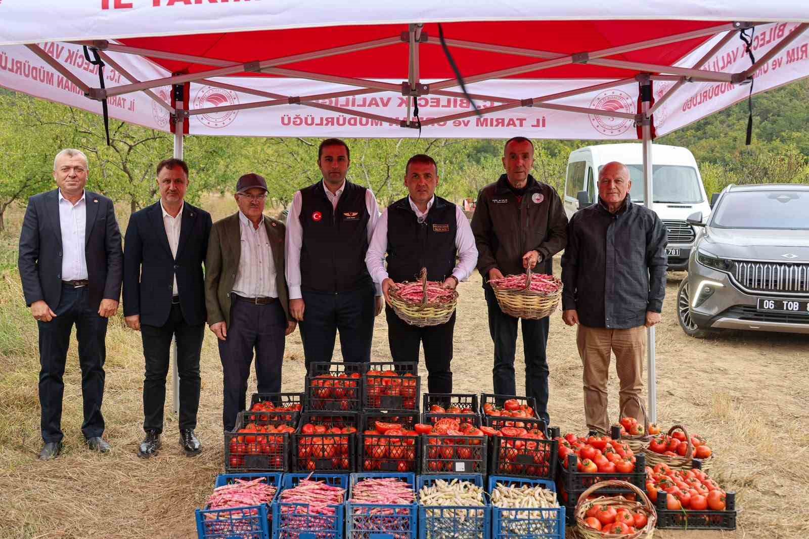 Bilecik’te her yıl 4 bin 500 ton taze barbunya hasadı yapılıyor