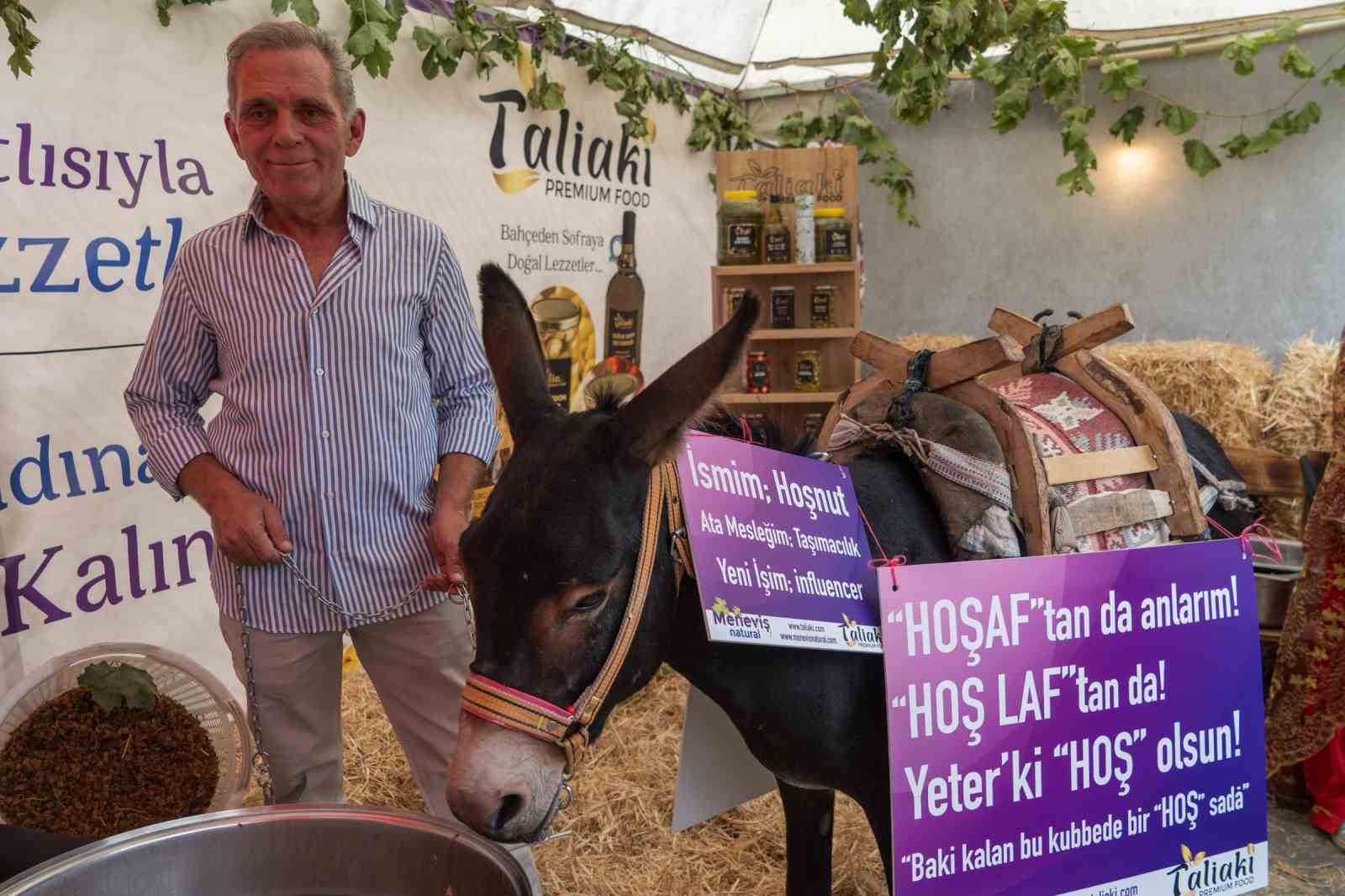 Eşek hoşafa direndi, ortaya renkli görüntüler çıktı