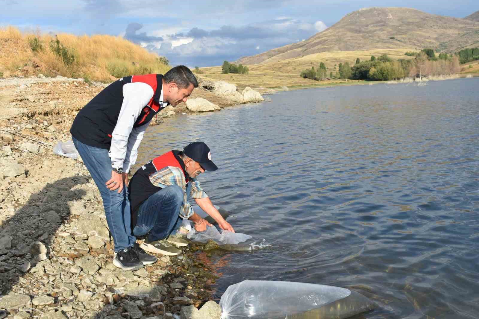 Bayburt&rsquo;taki g&ouml;letlere 150 bin sazan yavrusu bırakıldı