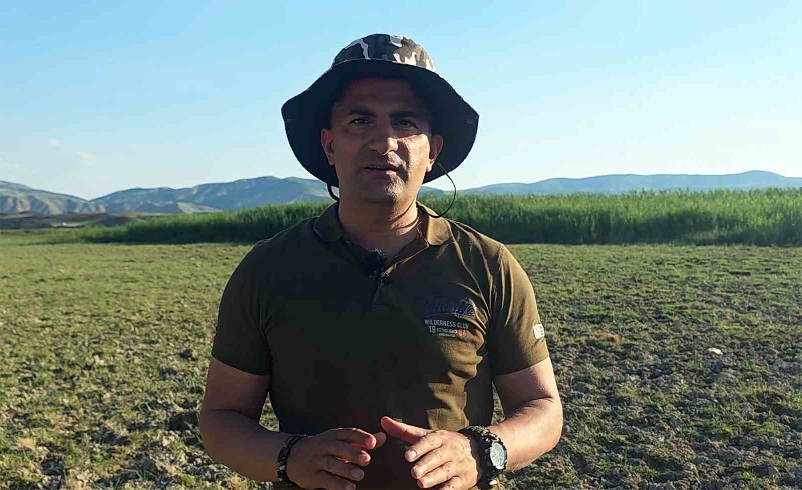 B&uuml;y&uuml;k İron Sazlığı kuşların renkli d&uuml;nyasına ev sahipliği yapıyor