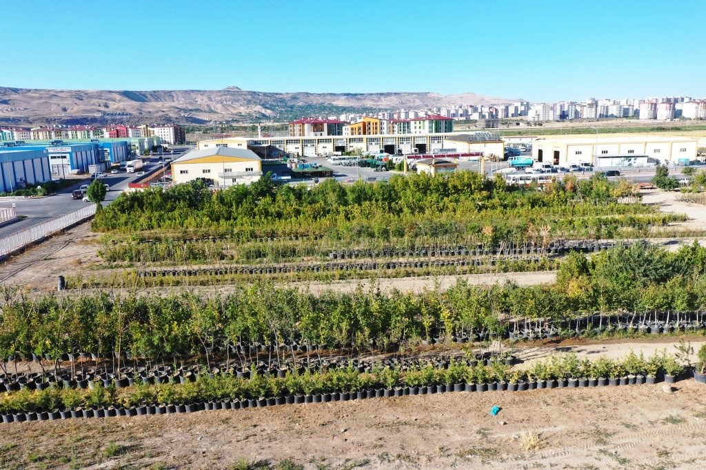 Başkan Çolakbayrakdar: "Türkiye’nin en kapsamlı fidanlığıyla Kayseri’nin yeşil dokusu zenginleşiyor"