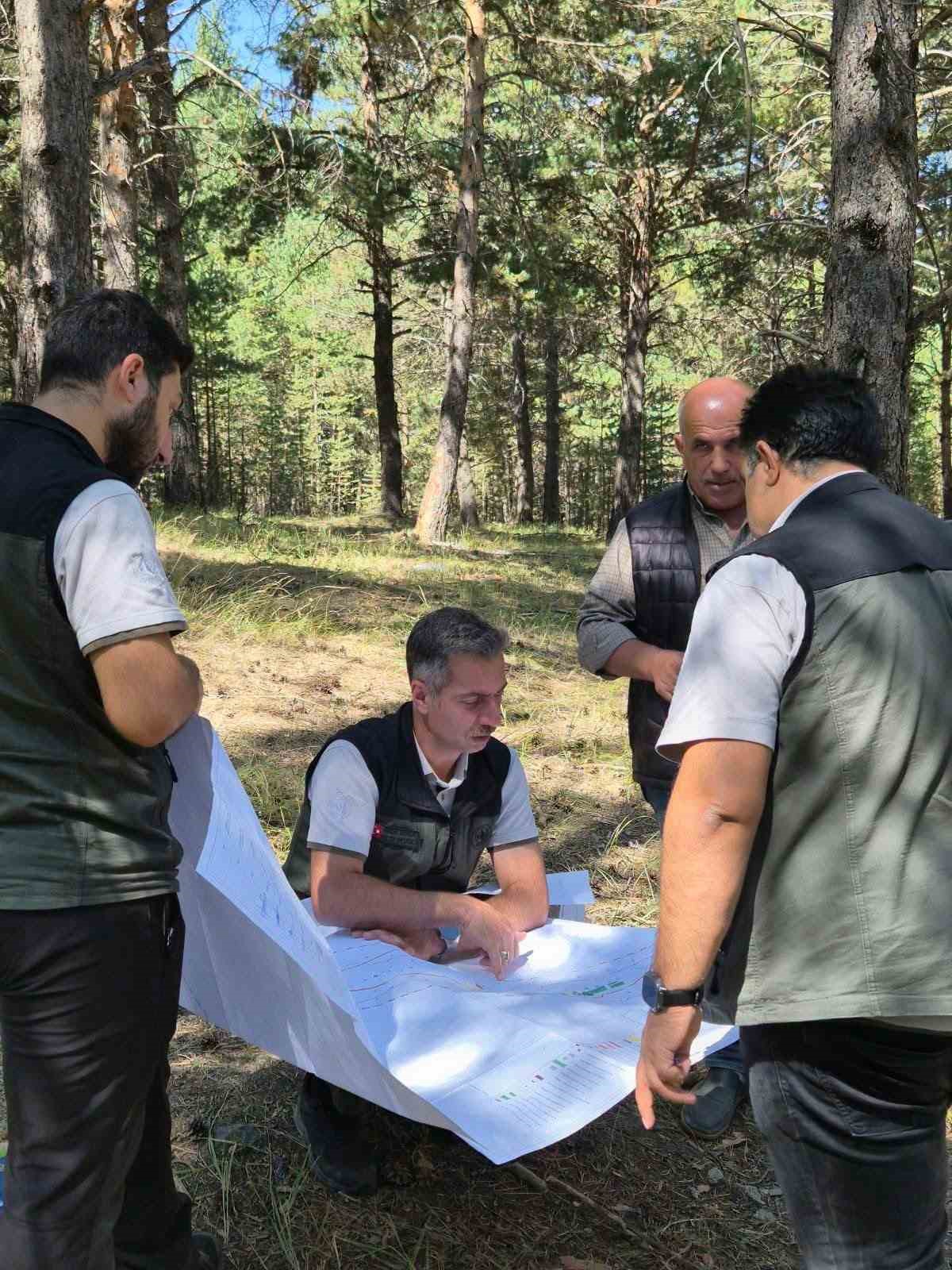 Sarıkamış Şehitleri Orman Parkı’nda yeni dönem: Doğayla iç içe yeşil alan etkinlik alanı için çalışmalar değerlendirildi