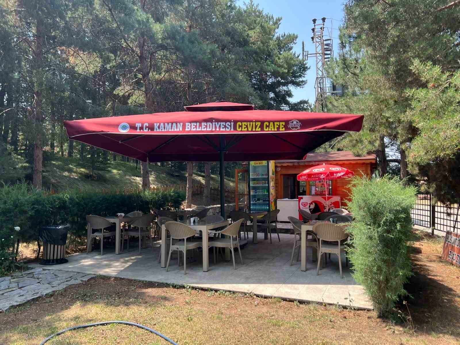 Turizm bölgesine kazandırılan Ceviz Kafe ilgi görüyor