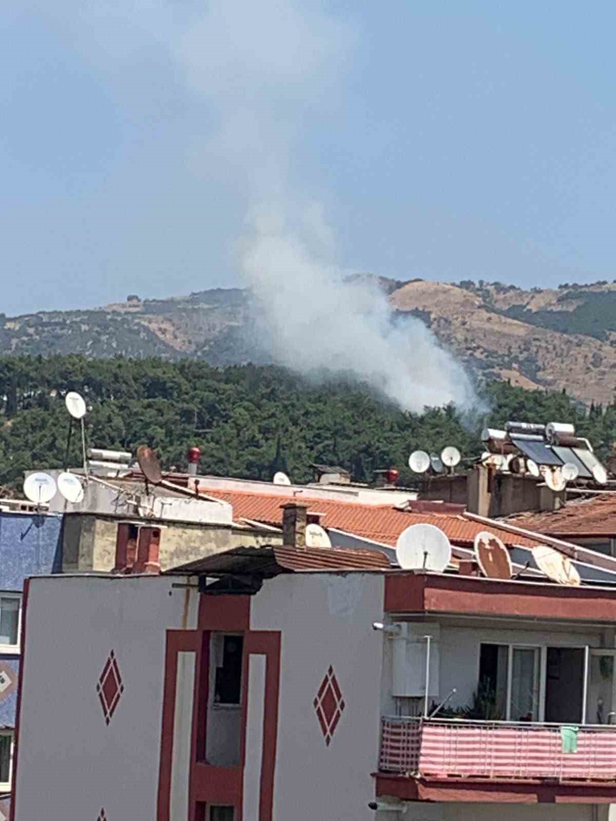 Mesire alanındaki yangın kısa sürede söndürüldü