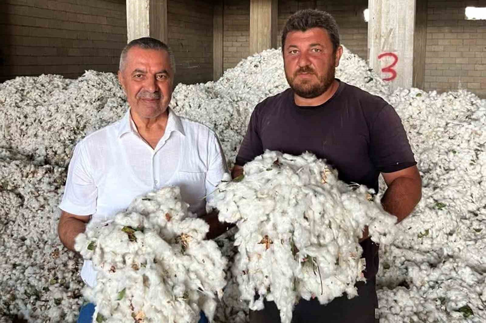 Araban Ovası’nda pamuk hasadı başladı