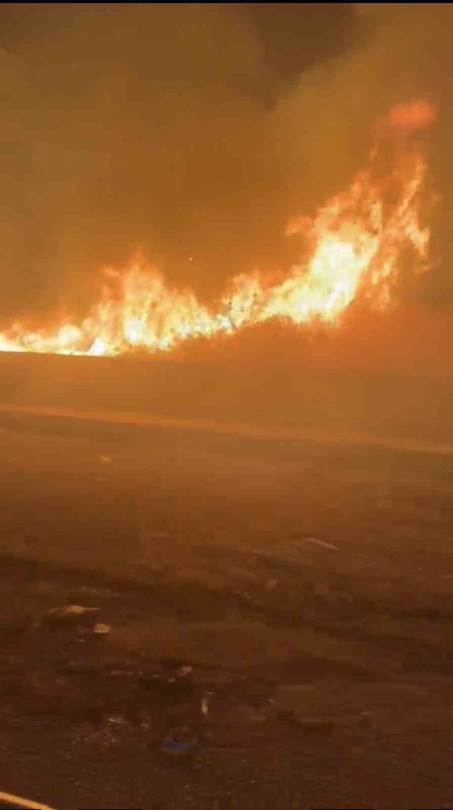 Mardin’de üç ayrı noktada çıkan yangınlar söndürüldü