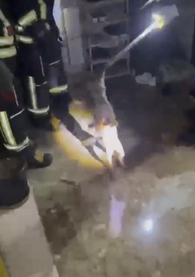 Osmaniye’de apartmanın 3’üncü katına çıkan tilki doğaya bırakıldı