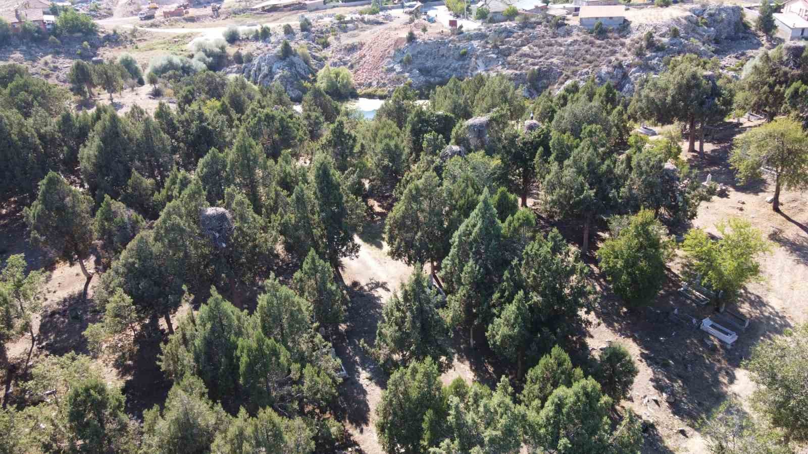 Beyşehir’in simge misafirleri göç etti, yuvalar boş kaldı