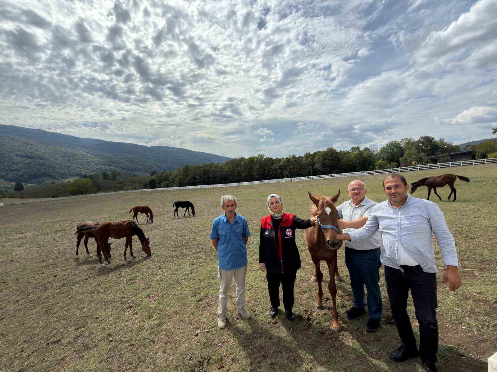 G&uuml;m&uuml;şova&rsquo;da Yaban Mersini ve Aronya &uuml;retimi i&ccedil;in yeni adım