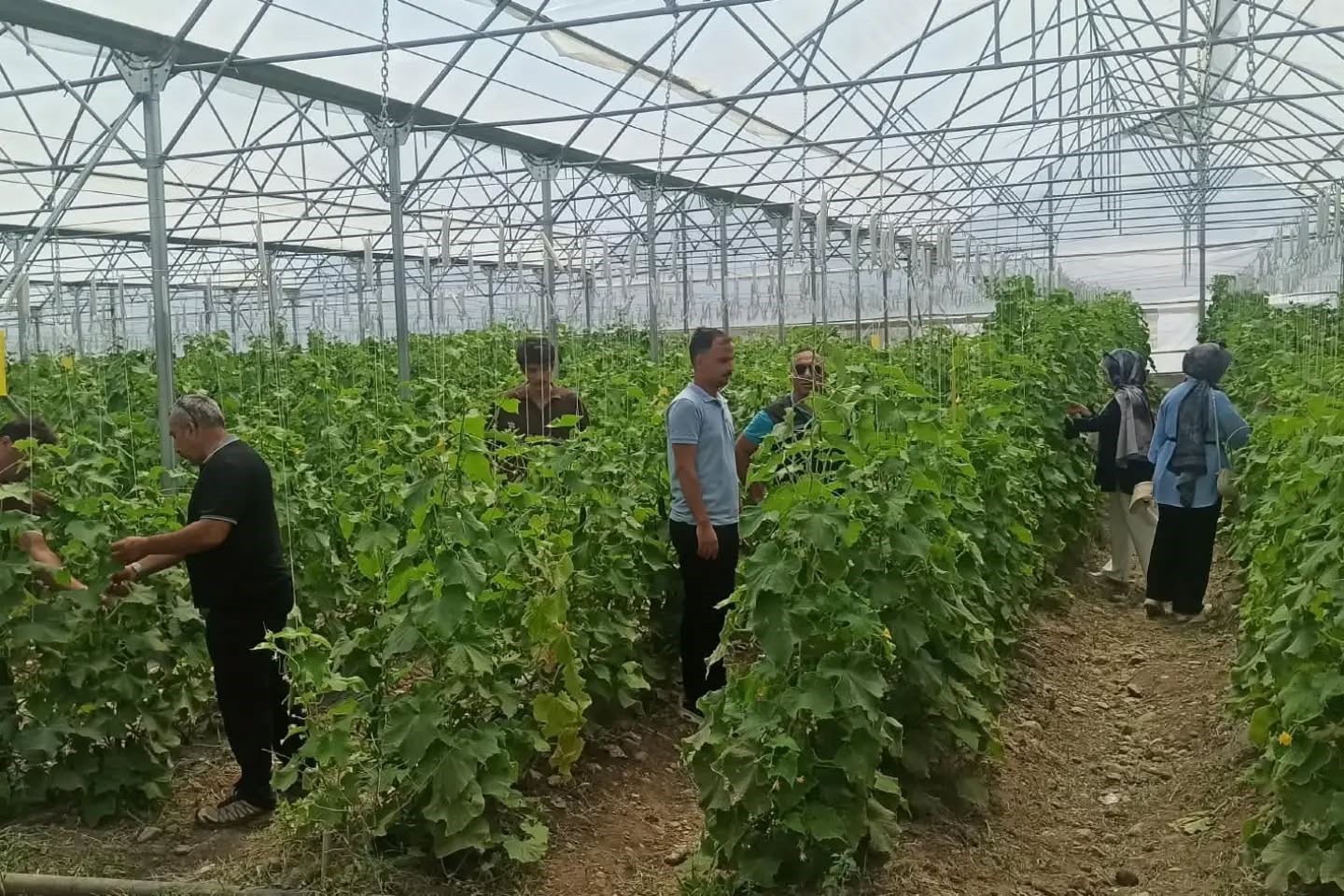 Erzincan’da geleceğin tarım uzmanları yetişiyor