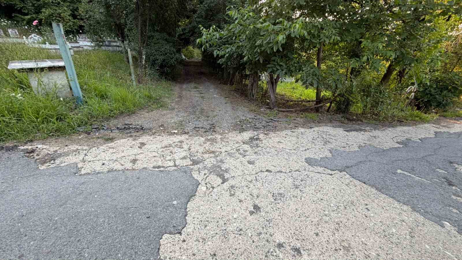 Asırlık yol 60 yıl sonra yeniden hizmete açılıyor