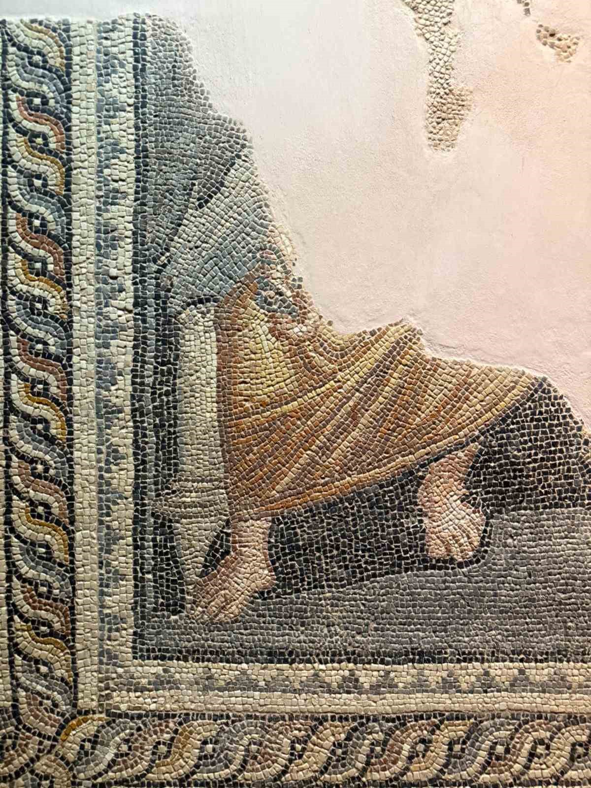 1800 yıllık Zeugma mozaiğinde tıbbi iz