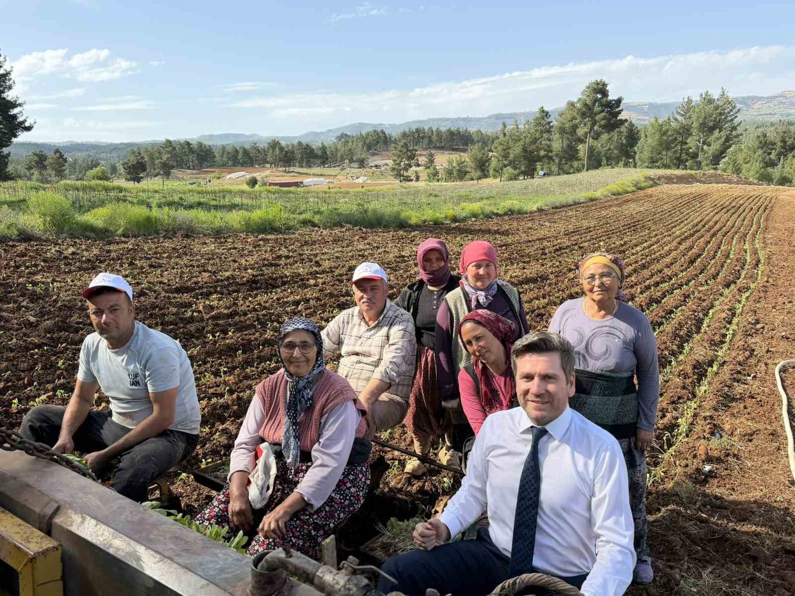 Tavas ve Beyağaç Belediye Başkanları birlikte tütün dikti