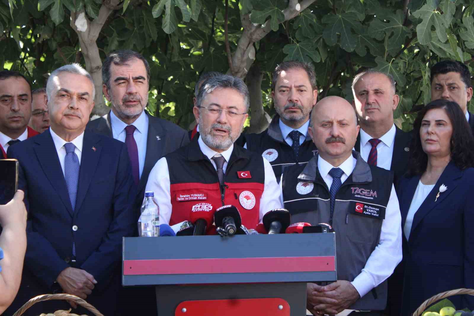 Bakan Yumaklı Aydın’da incir hasadına katıldı