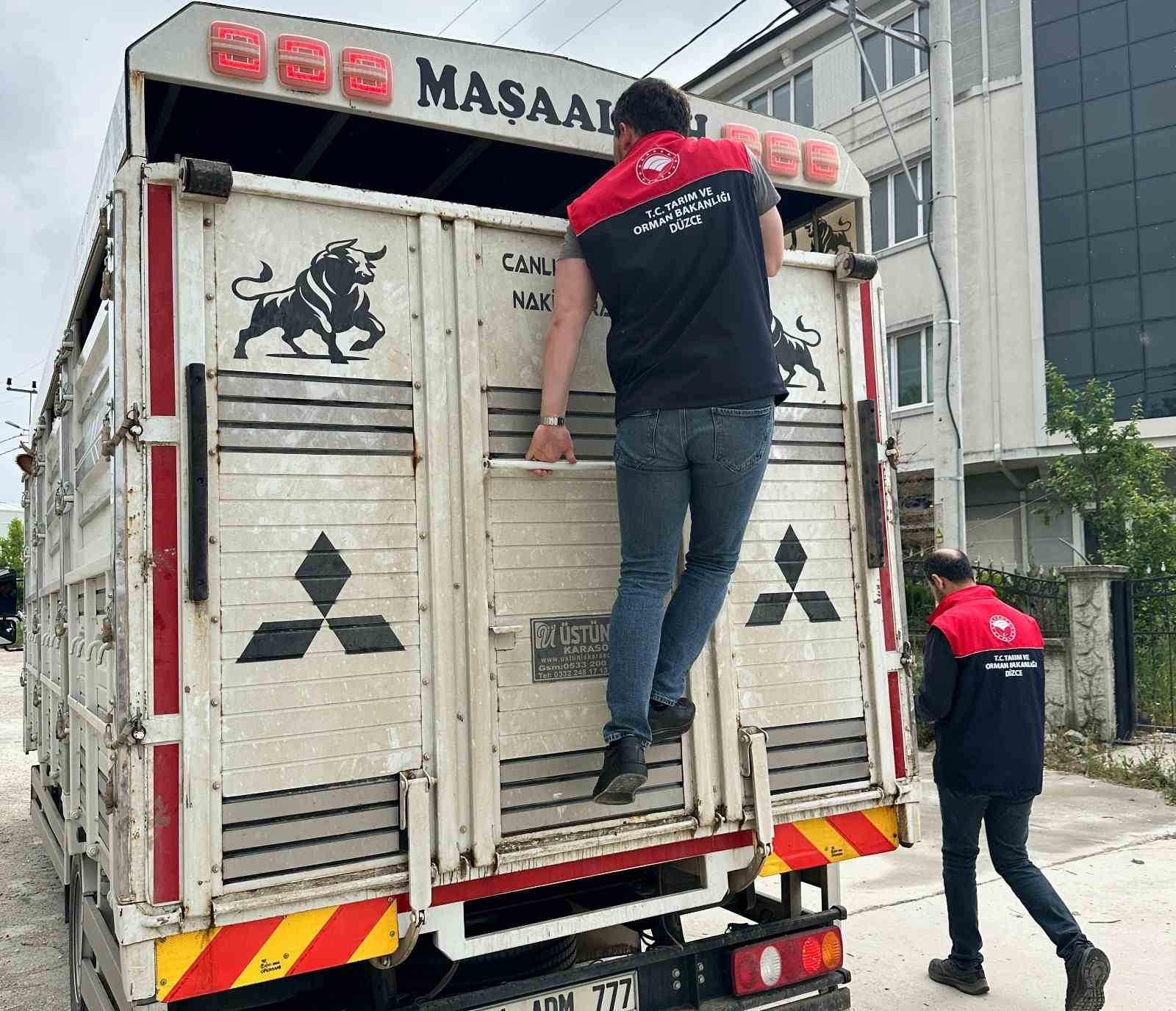 Hayvan sevkiyatına sıkı kontrol