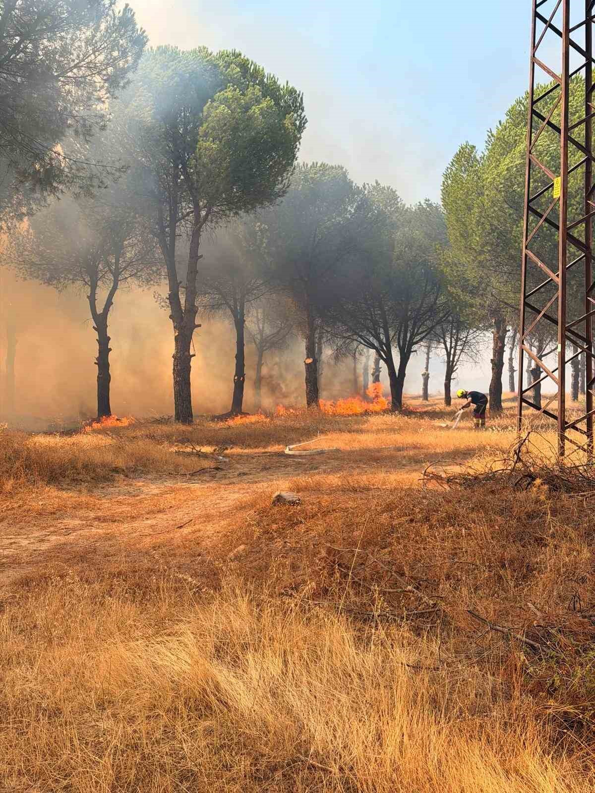 Altınova girişinde çıkan ot ve orman yangını kontrol altına alındı