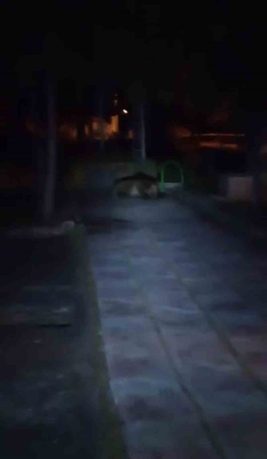 Bolu’da çocuk parkına ayı girdi