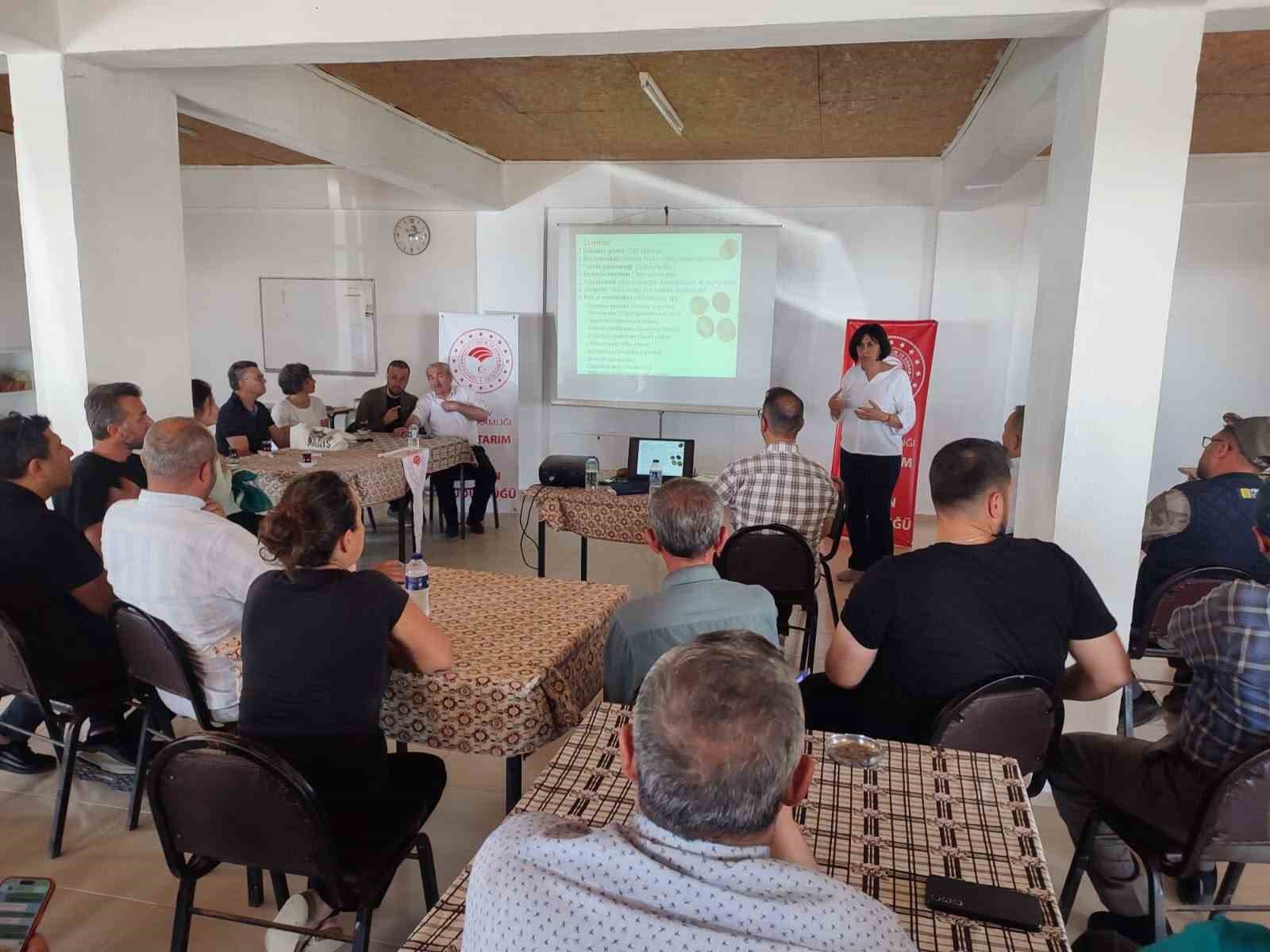 Simav’daki seracılara domates hastalıkları ve zararlıları eğitimi