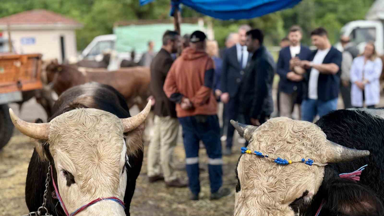 Şahin ve Çetinkaya’dan Kurban satış alanına ziyaret