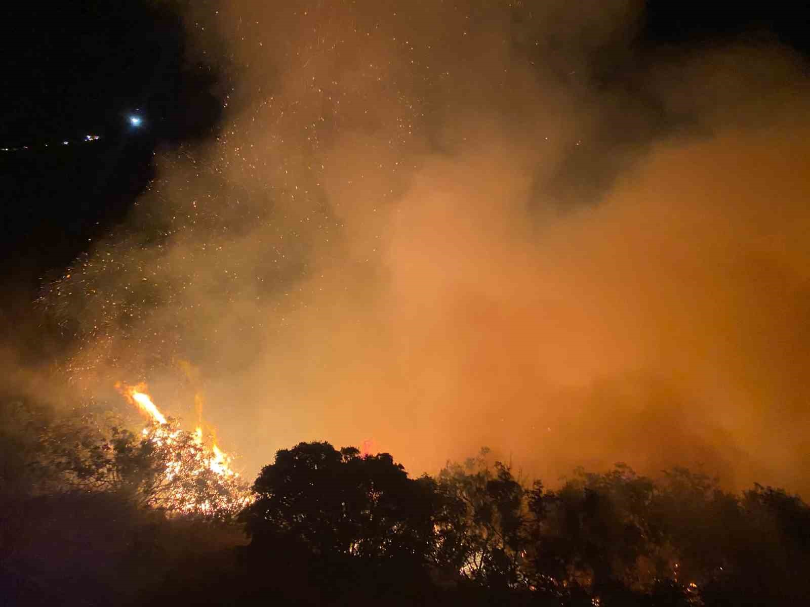 Gazipaşa&rsquo;da makilik alanda yangın