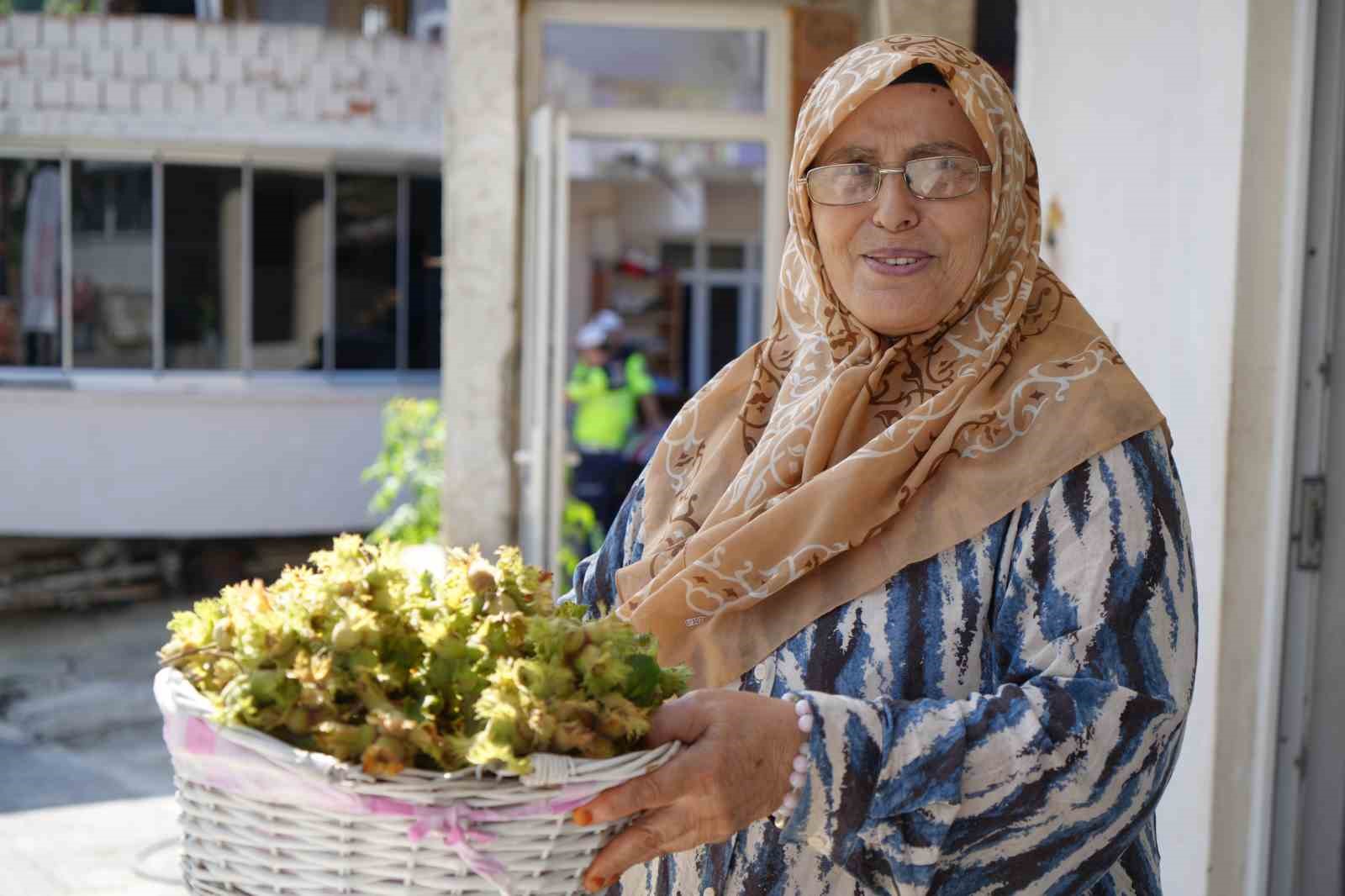 Yeşil altında orta kesim hasadı başladı: Samsun’da 115 bin ton fındık bekleniyor