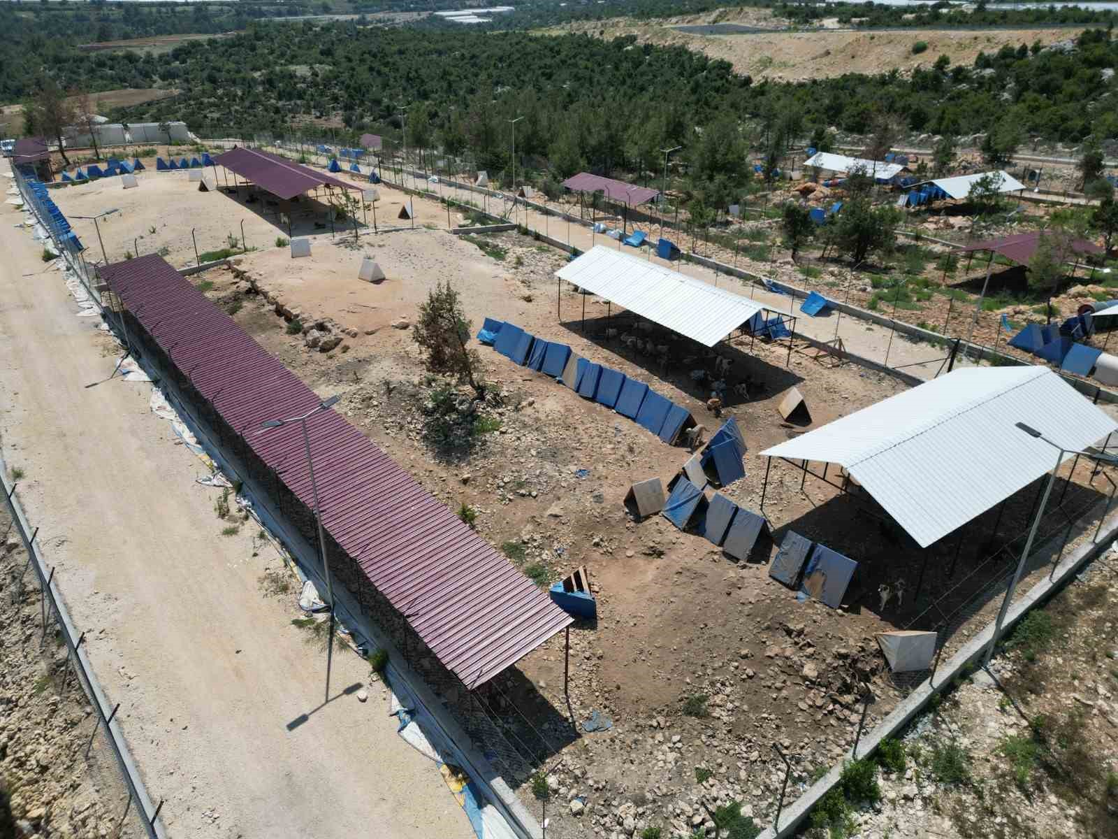Erdemli’de hayvanların yaşam şartlarına yönelik çalışmalara tam not