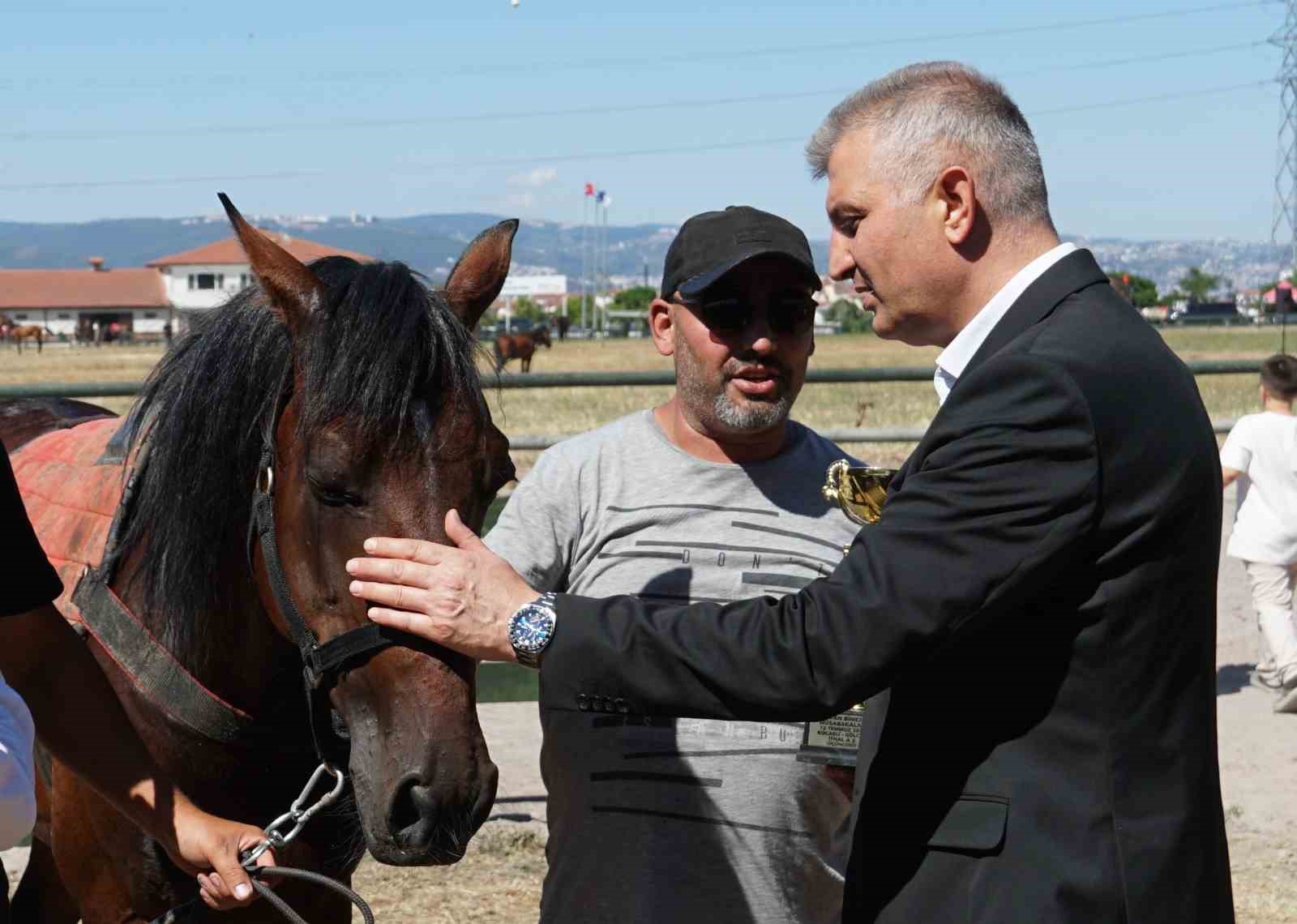 Gölcük’te Değirmendere Rahvan At Yarışları heyecanı yaşandı