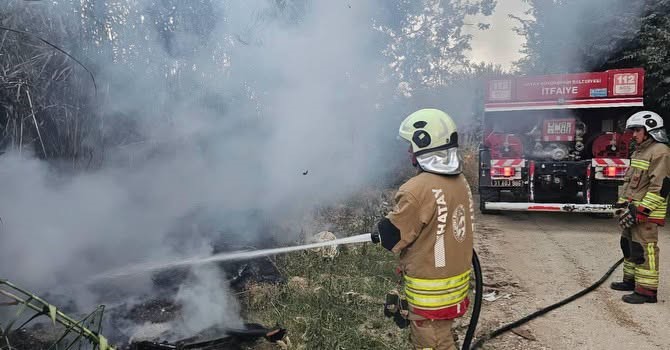 Defne’de sazlık yangını