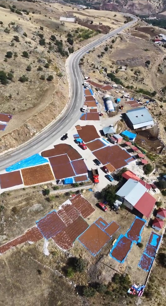 Fındık üreticilerinin güneş arayışı