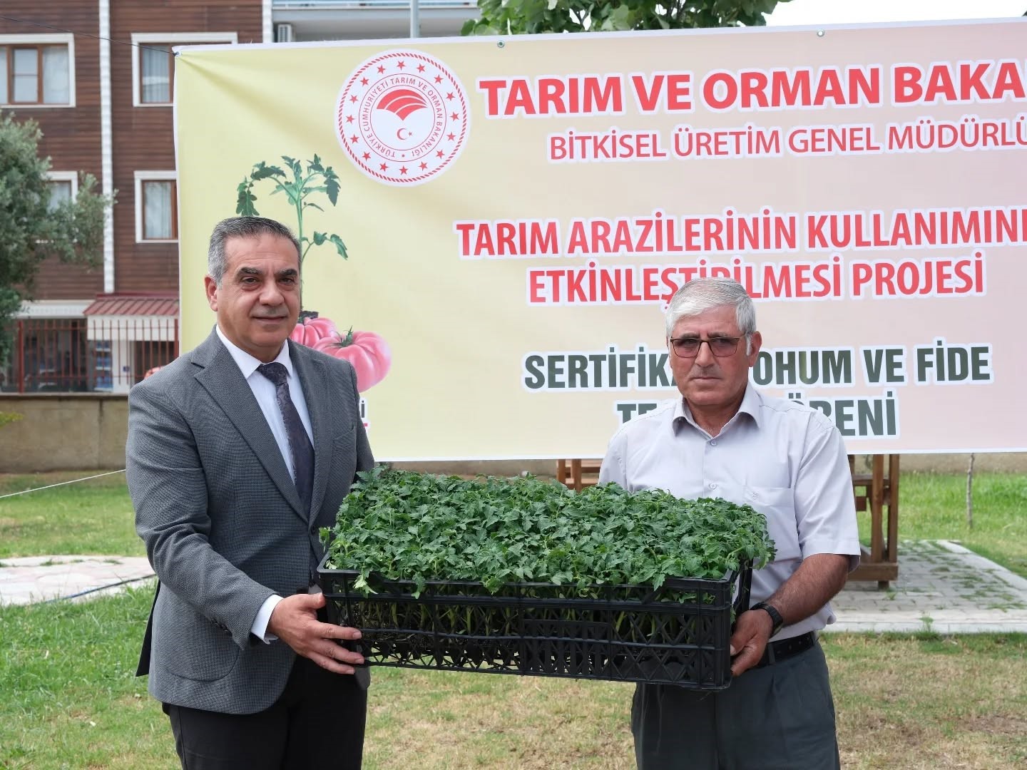Buharkent’te 38 bin domates fidesi dağıtıldı