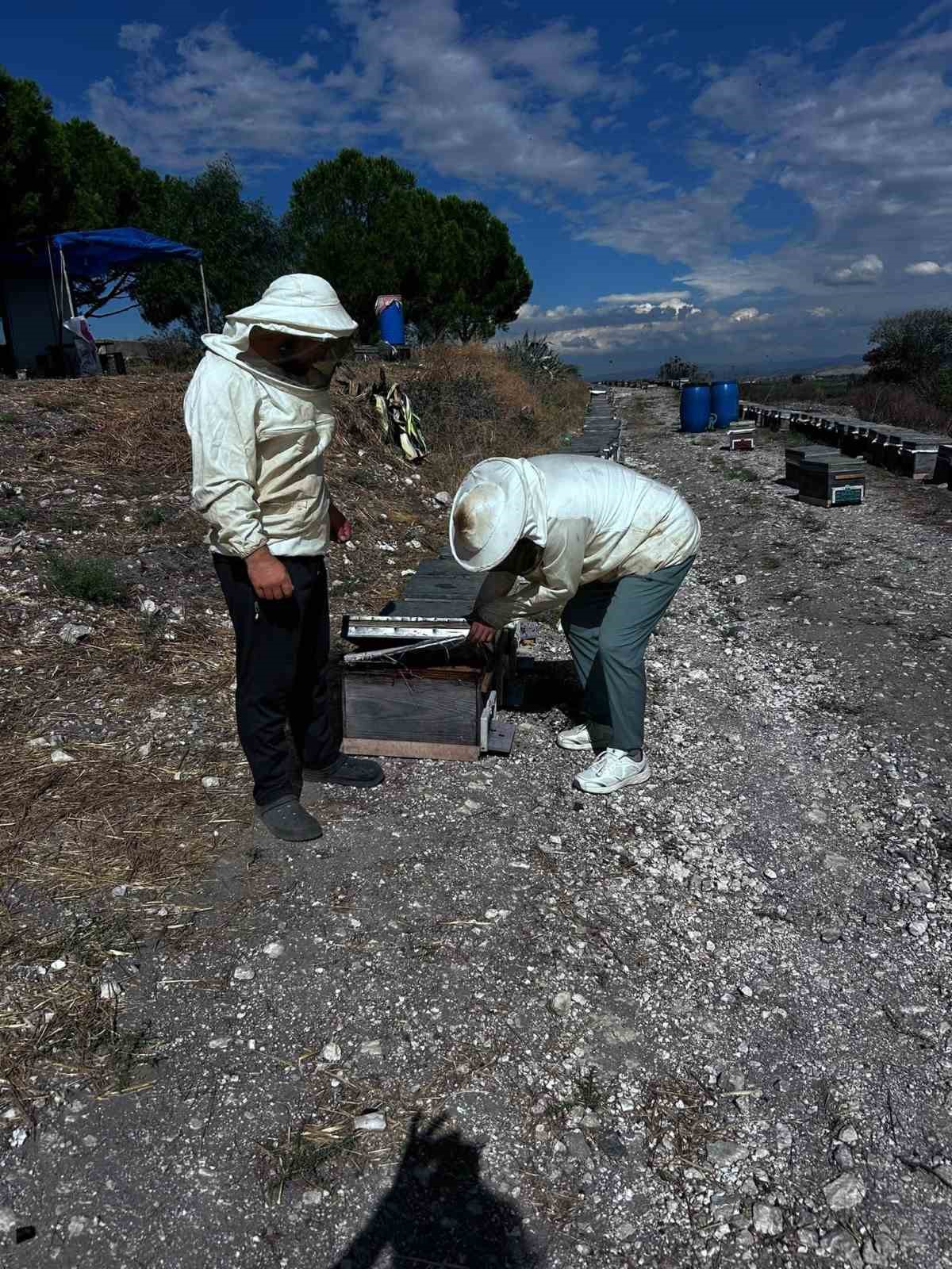 Arıcılığın geliştirilmesi için saha çalışmaları sürüyor