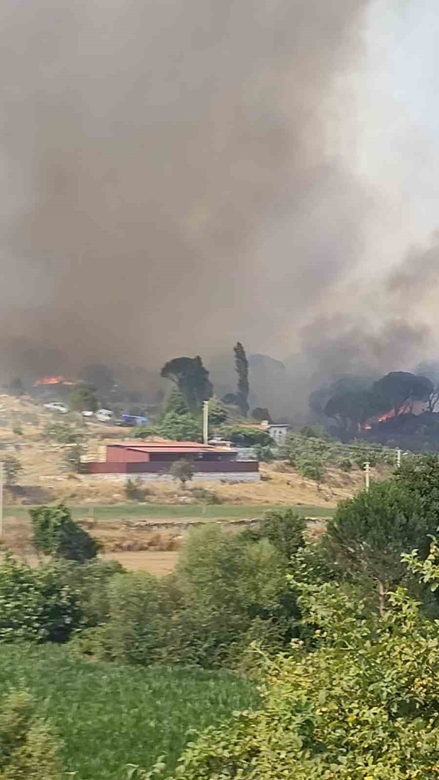 Kavaklıdere’deki yangına müdahale sürüyor