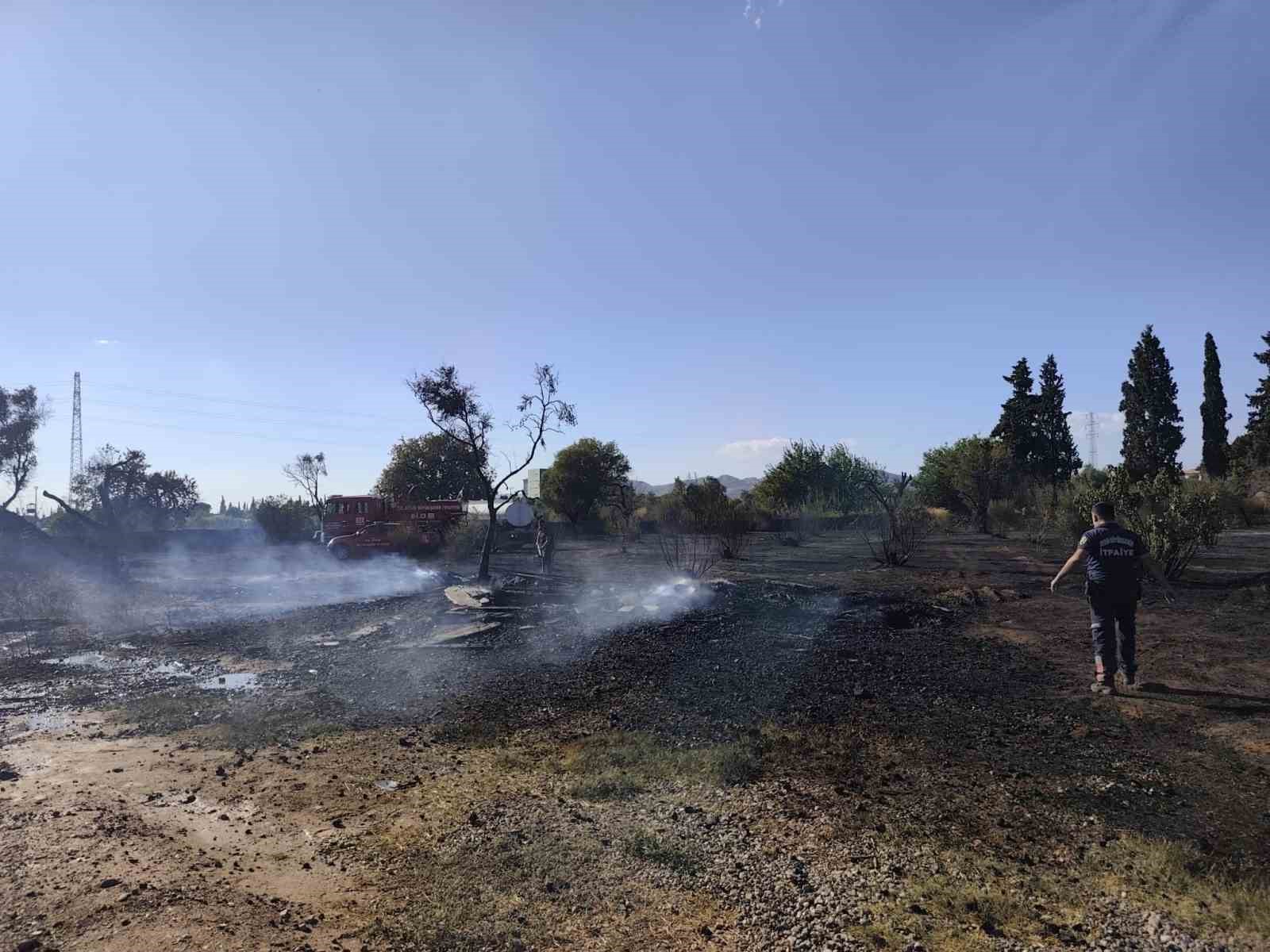 Zeytinlik alanda çıkan yangın kontrol altına alındı
