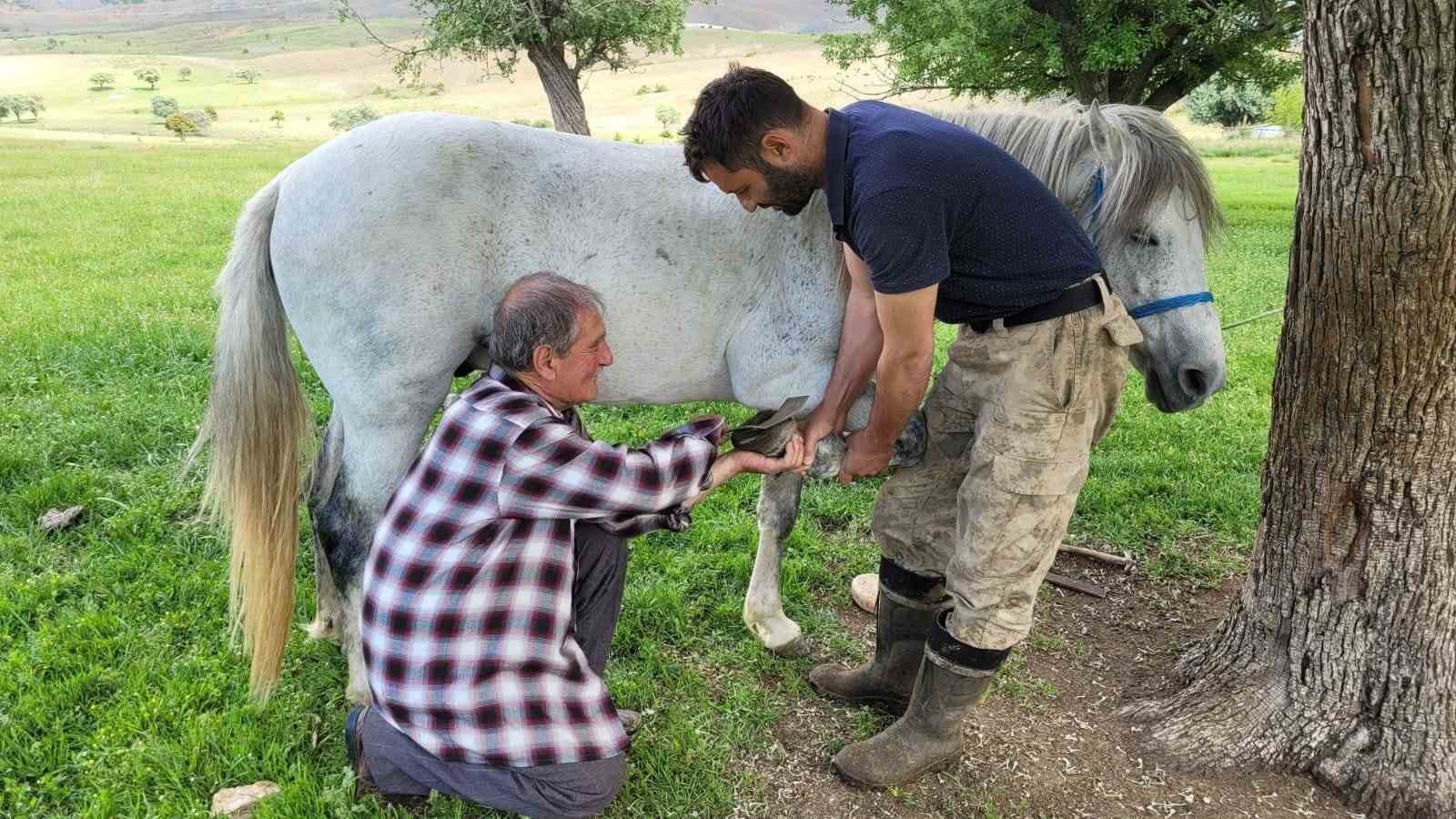 Kemaliye’de zamana direnen usta: 50 yıldır nalbantlık yapıyor