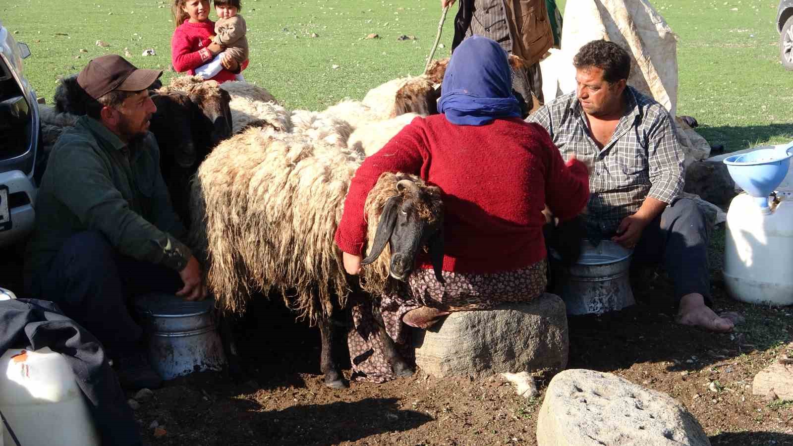 G&ouml;&ccedil;erler 5 aylık yayla sezonunu Bitlis&rsquo;te a&ccedil;tı